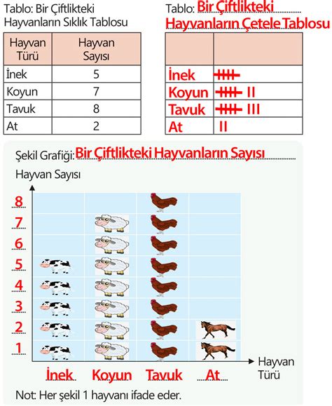  Hayvanlar Üzerinde Bir Duygu Tablosunda İç Gözlem ve Renklerin Dansı!