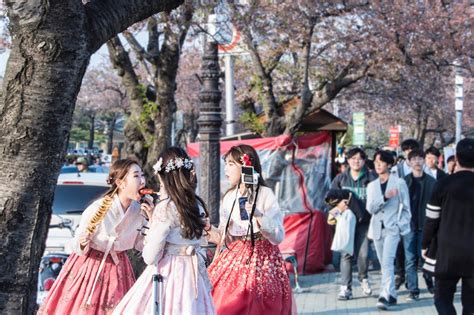 키리시마 사쿠라, 일본 문화와 한국 문화의 교차점에서